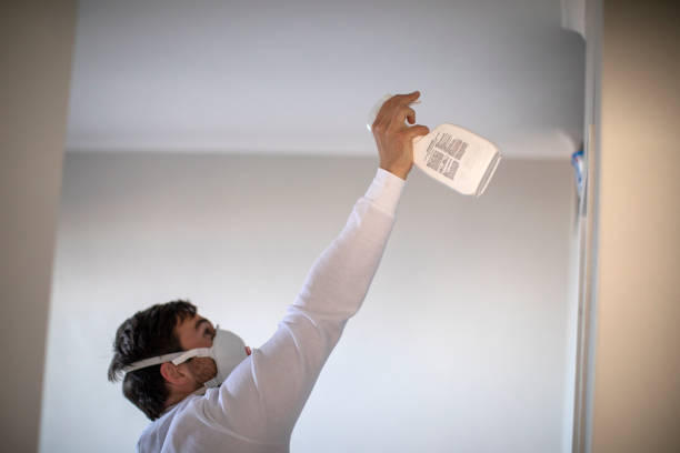 Best Professional Mold Removal  in Pennsboro, WV