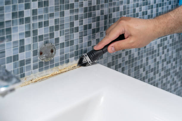 Best Home Mold Removal  in Pennsboro, WV