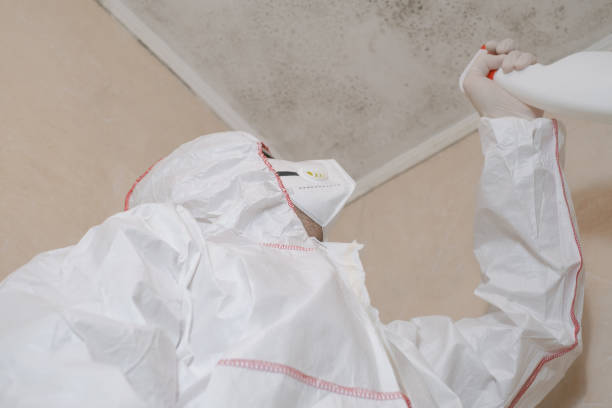 Best Emergency Mold Removal  in Pennsboro, WV
