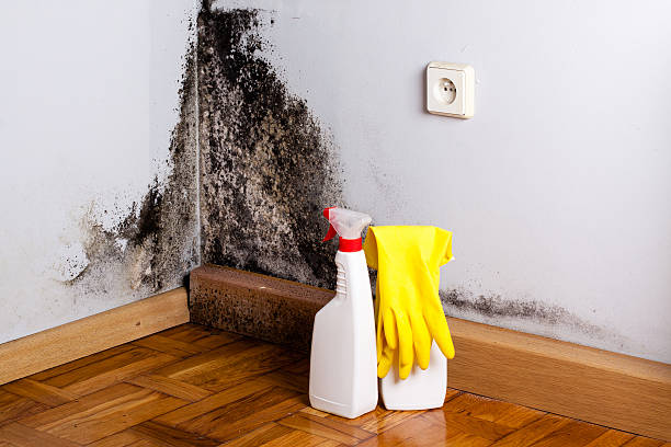 Best Mold Testing  in Pennsboro, WV